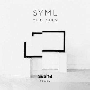 Testi The Bird (Sasha Remix) [Edit]