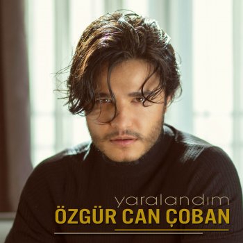 seni seviyorum testo ozgur can