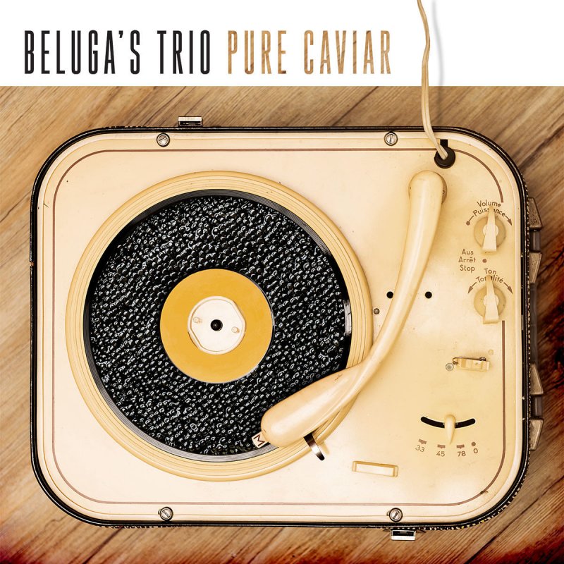 Beluga S Trio Feat Kever Gasse I Won T Let You Down Lyrics Musixmatch