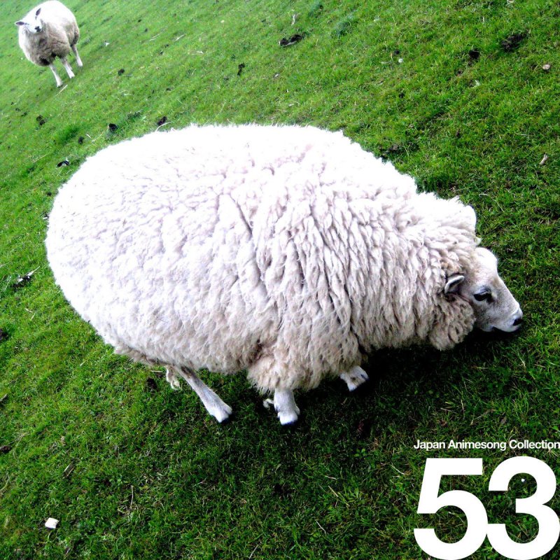 Muray 自由の翼 From 進撃の巨人 Lyrics Musixmatch