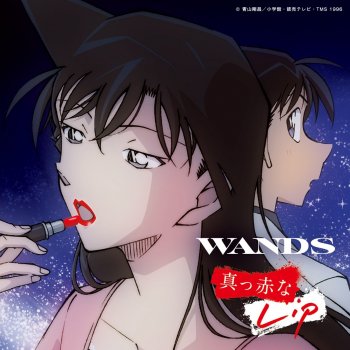 I Testi Delle Canzoni Dell Album Complete Of Wands At The Being Studio Di Wands Mtv