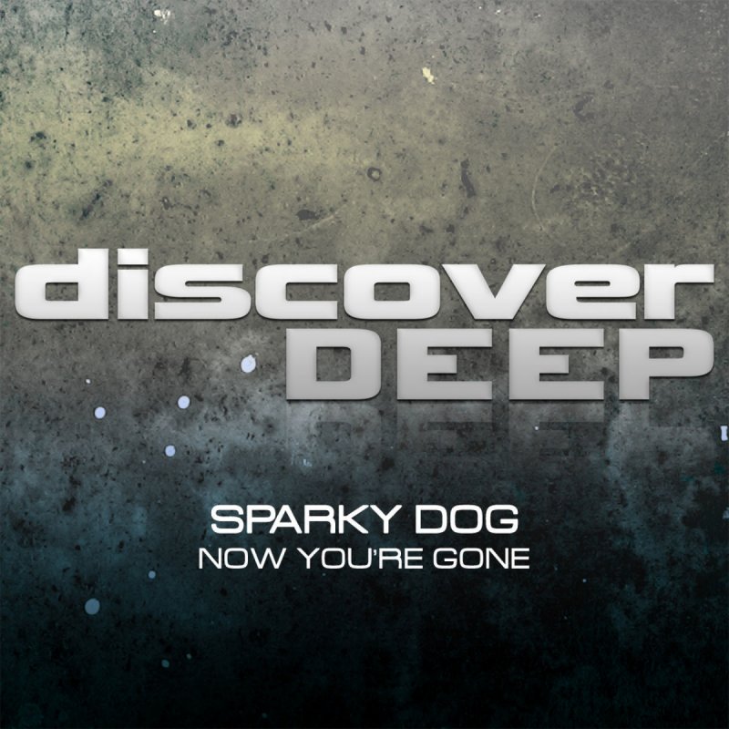 Now you re gone. Альбомы Recoil 1+2. Deep Drivers альбомы. Deep Speech. Recoil logo