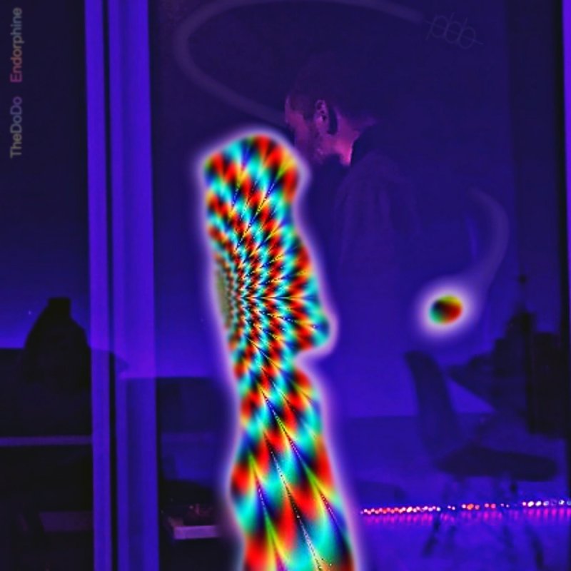 Thedodo Endorphine Songtext Musixmatch thedodo endorphine songtext musixmatch