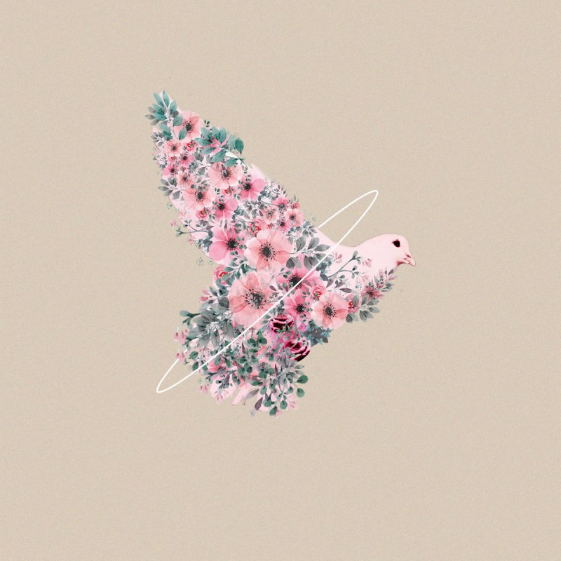 Glorious Natasha St Pier Le Cantique Des Cantiques Songtext Musixmatch Tournage au studio st germain, paris 6ème. le cantique des cantiques songtext