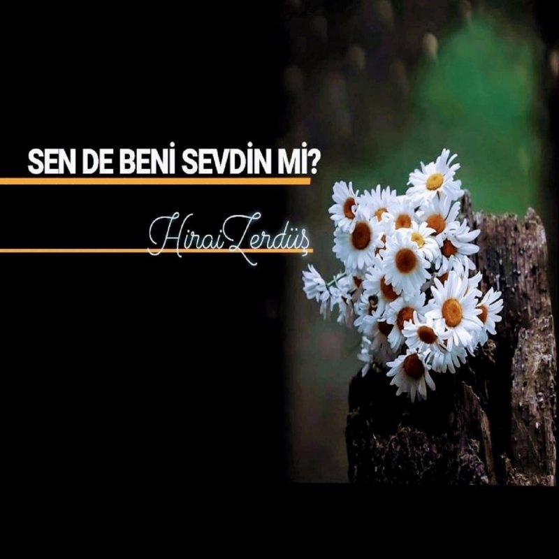 letra de seven eder mi boyle de hirai