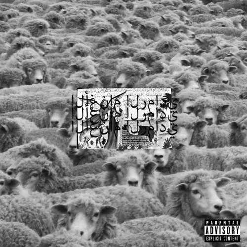 Grey Sheep II