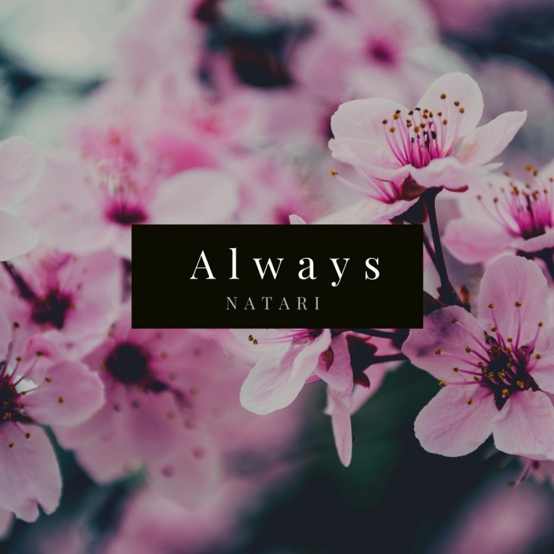 Natari Always Lyrics Musixmatch