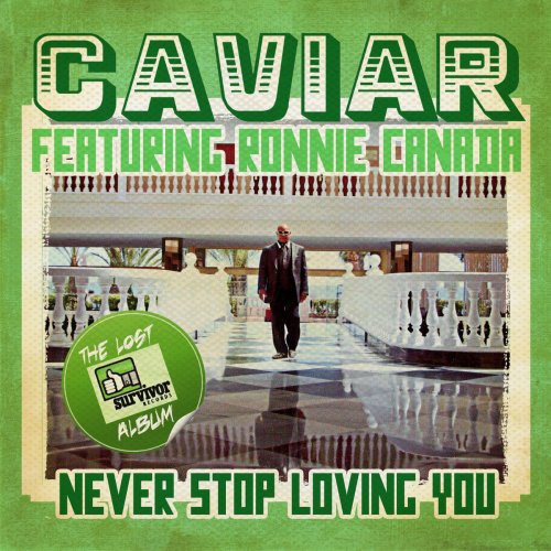 Never Stop Loving You (Digitally Remastered)