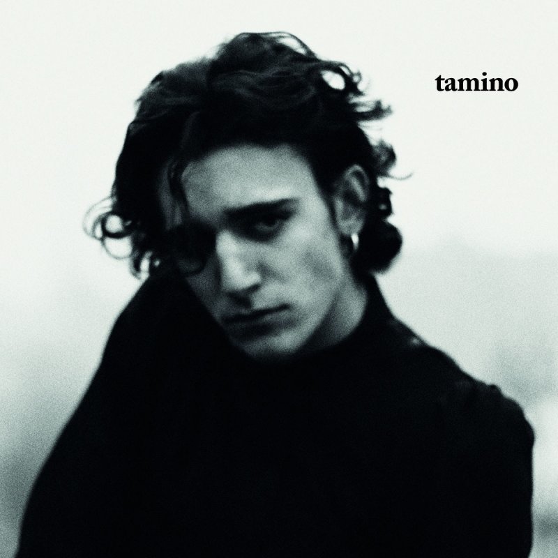 Tamino Reverse Paroles Musixmatch Habibi, light is burning as i am burning habibi, light is burning as i am yearning. tamino reverse paroles musixmatch