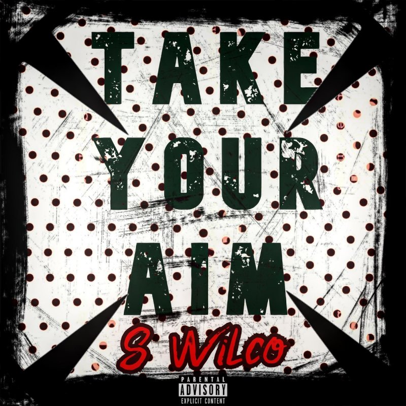 S Wilco Take Your Aim Lyrics Musixmatch