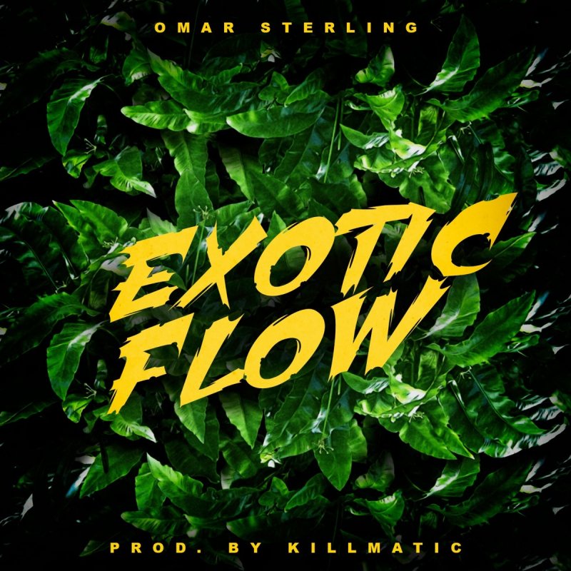 Omar Sterling Exotic Flow Lyrics Musixmatch