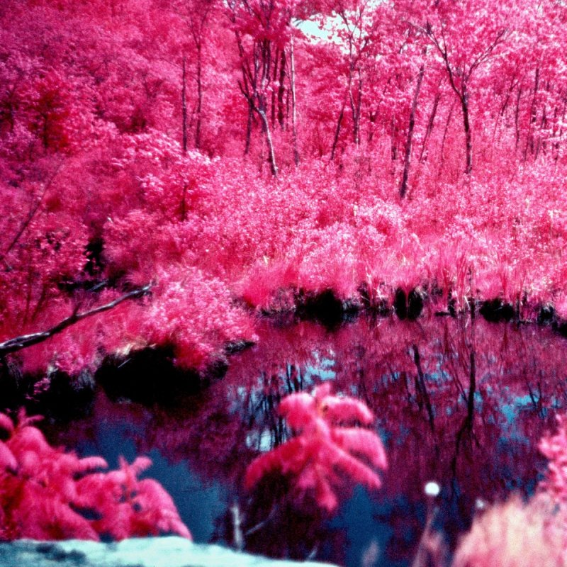 Yung Pacemaker Sauna Lyrics Musixmatch