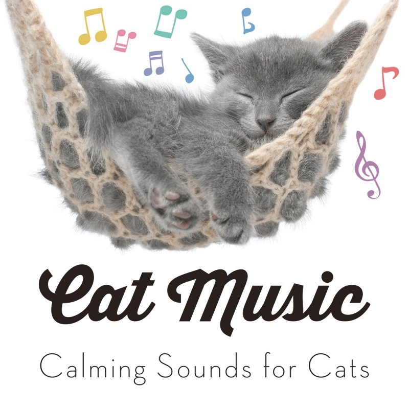 Cat Music Feat Pet Care Club Relaxmycat Kitty Sleep Aid