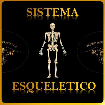 Glucolisis Rap Medicina By El R4 Album Lyrics Musixmatch Rap medicina, la célula, ciclo de la urea, sistema esquelético, monthly listeners: rap medicina by el r4 album lyrics