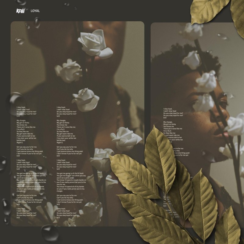 Kaii Loyal Lyrics Musixmatch Yo whats up my chargie lets go have a beer. musixmatch