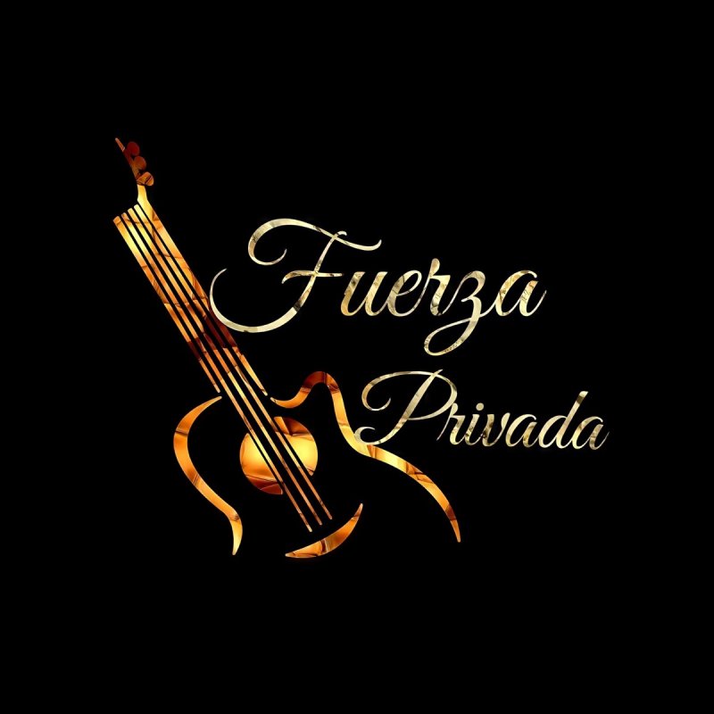 Letra De Se Fue La Pantera En Vivo De Fuerza Privada Musixmatch