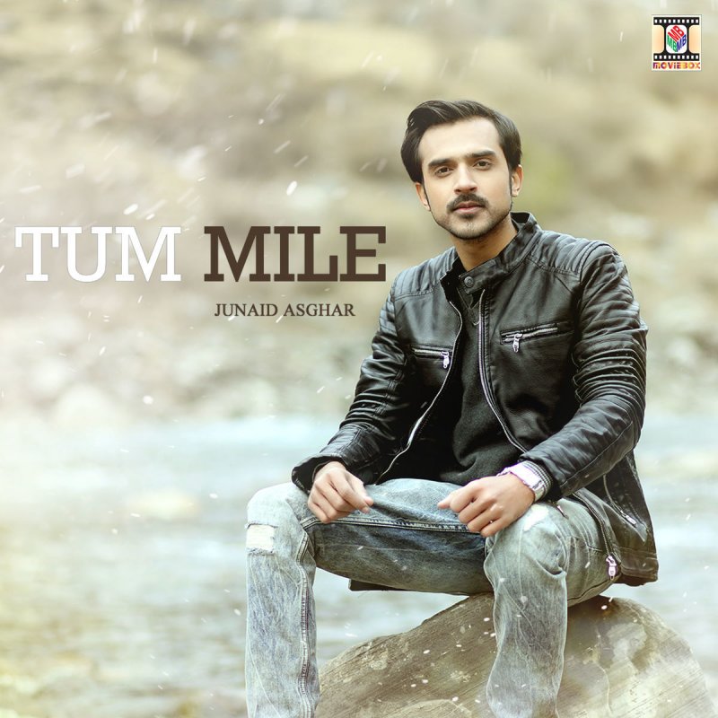 junaid-asghar-tum-mile-lyrics-musixmatch