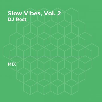 Slow Vibes Vol 2 Dj Mix By Dj Rest Album Lyrics Musixmatch