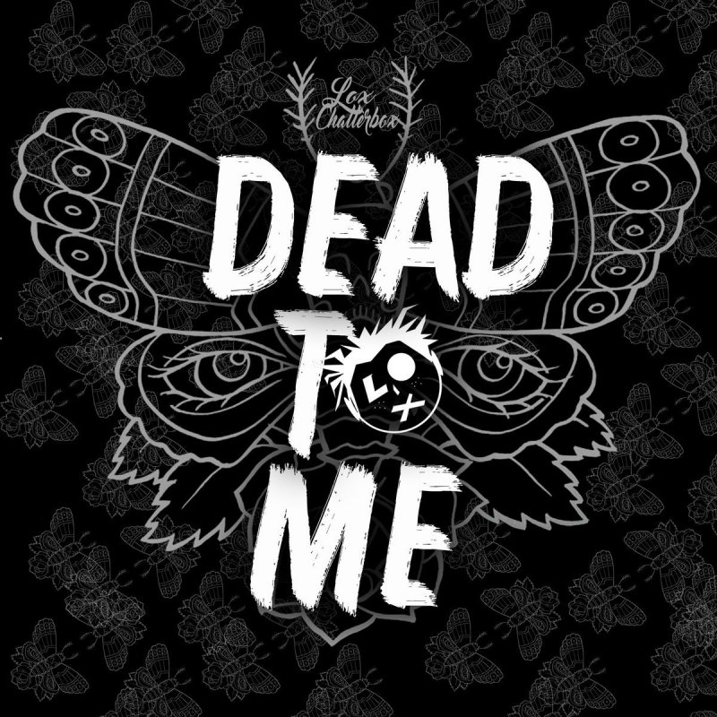 Dead To Me Sex Whales Lyrics