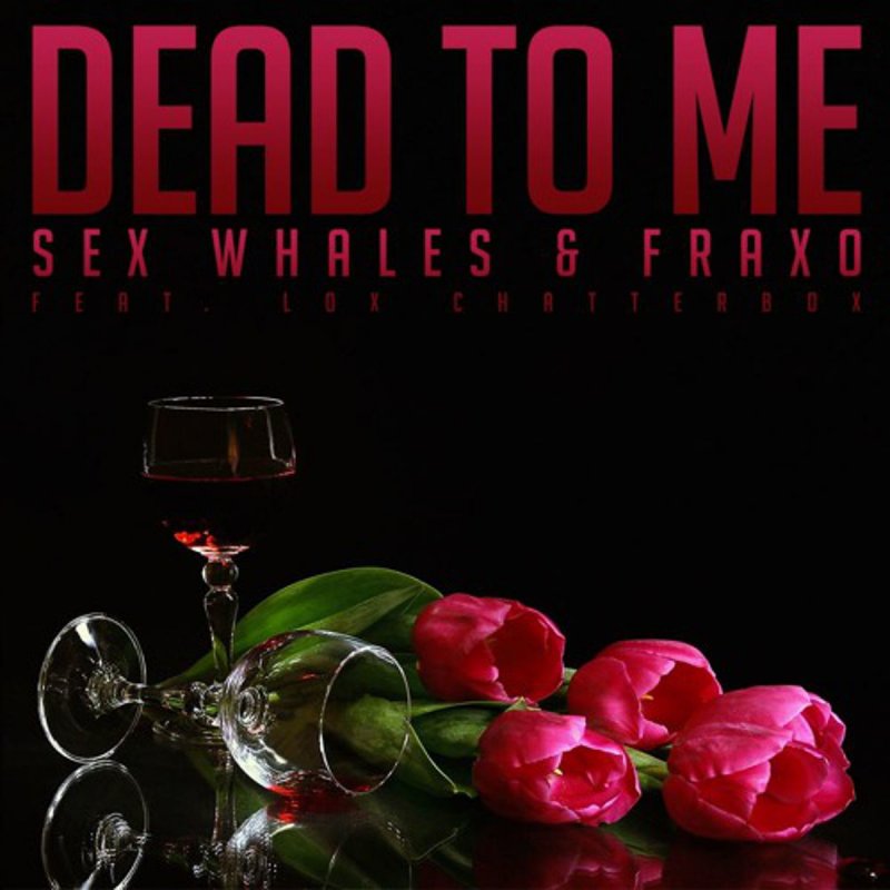Dead To Me Sex Whales Lyrics