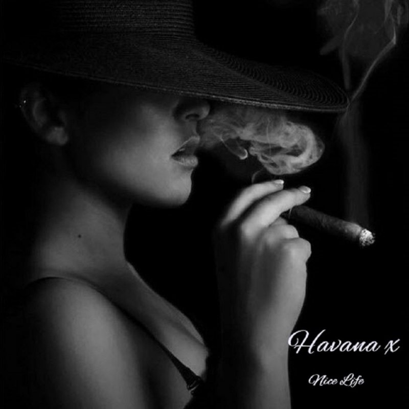 Nice life 3. Business woman smoking. Erotic couple Cigar Smoke Black and White.