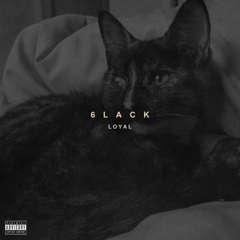 6lack Loyal Songtext Musixmatch No matter what, you can't take what i've been through imagine if i never went through what i went through yeah came, up, uh. 6lack loyal songtext musixmatch
