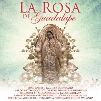 México Tiene Una Reyna (Testo) - Polo Rojas - MTV Testi e canzoni