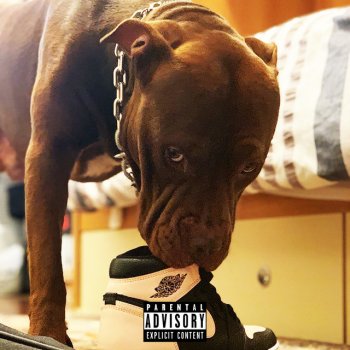 Trappo Zarro By Edo Fendy Album Lyrics Musixmatch Listen to trappo zarro on spotify. musixmatch