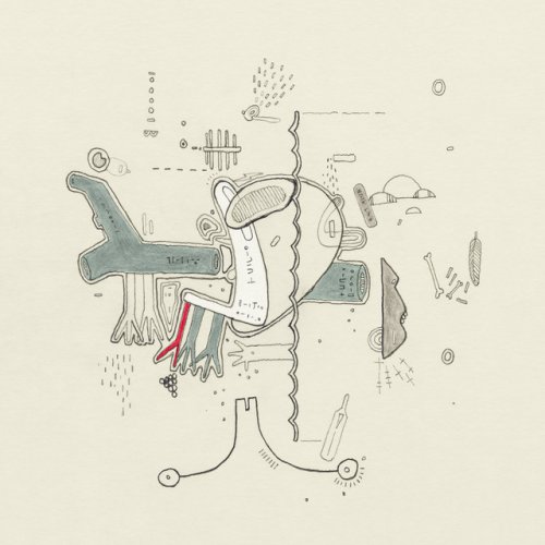 Daughter Poke From Tiny Changes A Celebration Of Frightened Rabbit S The Midnight Organ Fight Lyrics Musixmatch