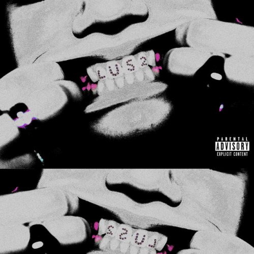 Laundry Day Bulldog Lyrics Musixmatch