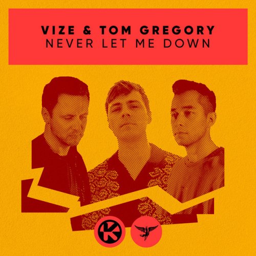 Vize Feat Tom Gregory Never Let Me Down Lyrics Musixmatch
