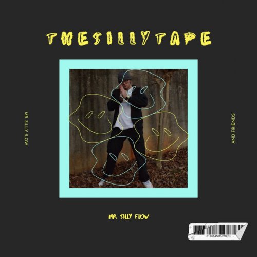 MR. SiLLY fLOW DiAPERS Lyrics Musixmatch