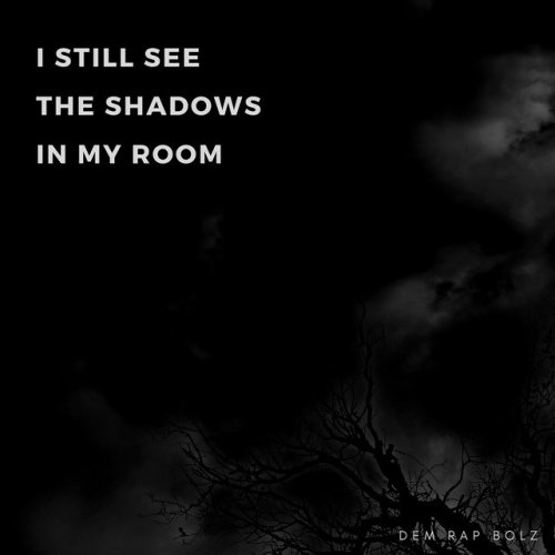 Dem Rap Bolz I Still See The Shadows In My Room Lyrics Musixmatch