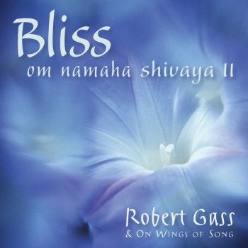 I Testi Delle Canzoni Dell Album From The Goddess O Great Spirit Di Robert Gass Feat On Wings Of Song Mtv testi canzoni