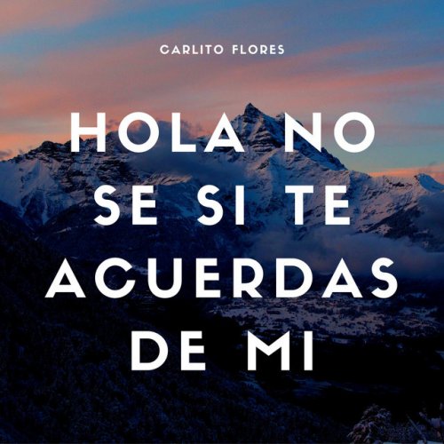 Carlito Flores - Hola No Se Si Te Acuerdas De Mi paroles | Musixmatch
