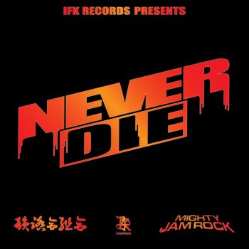 一網打尽remix Feat Norikiyo Shingo 西成 漢by Innfumiaikumiai Album Lyrics Musixmatch