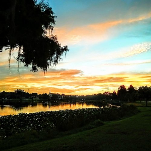 max-hedman-hug-a-tree-lyrics-musixmatch