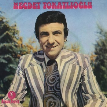 I Testi Delle Canzoni Dell Album Gitmesin Gozlerinden Piril Piril Arzular Turk Sanat Muziginin Buyuk Bestekari Di Necdet Tokatlioglu Mtv
