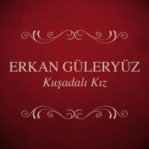 Erkan Guleryuz Can Bedenden Cikmayinca Lyrics Musixmatch