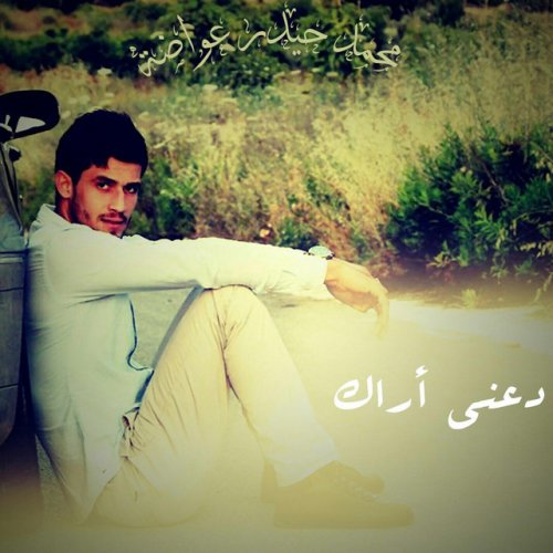 Mohamed Haydar Awada دعني أراك Lyrics Musixmatch
