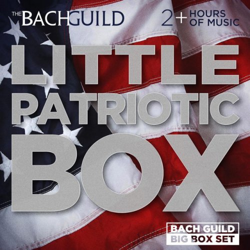 Little Patriotic Box