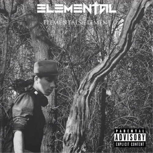 Elemental's Element