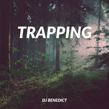 Trapping By Dj Benedict Album Lyrics Musixmatch Song Lyrics