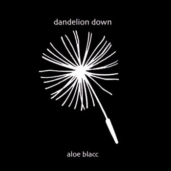 Testi Dandelion Down