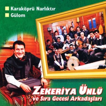 Zeytin Yapragi Yesil Testo Zekeriya Unlu Sira Gecesi Arkadaslari Mtv Testi E Canzoni