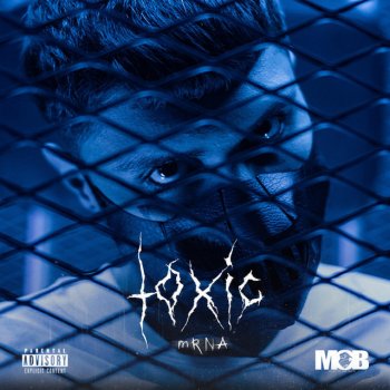 toxicity songtext