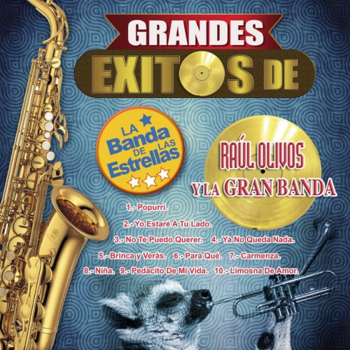 Letra de Limosna De Amor de La Banda De Las Estrellas feat. Raúl Olivos