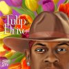 Tulip Drive Jimmie Allen - cover art
