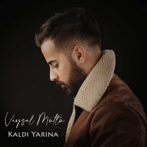 Veysel Mutlu Kaldi Yarina Paroles Musixmatch