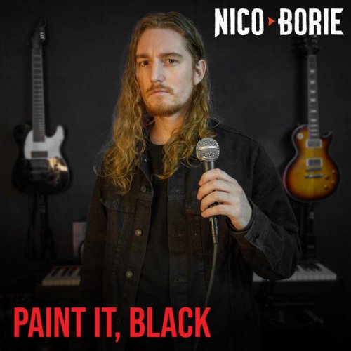 Nico Borie Paint It, Black Spanish Lyrics Musixmatch